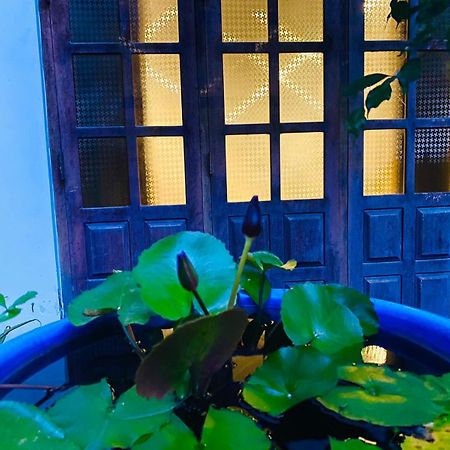 Sachi'S Place Tangalle Exterior photo